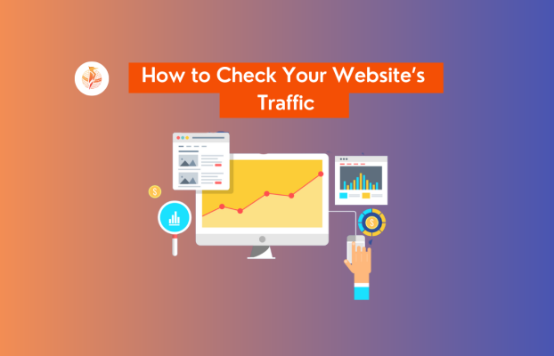 How to Check Your Website’s Traffic